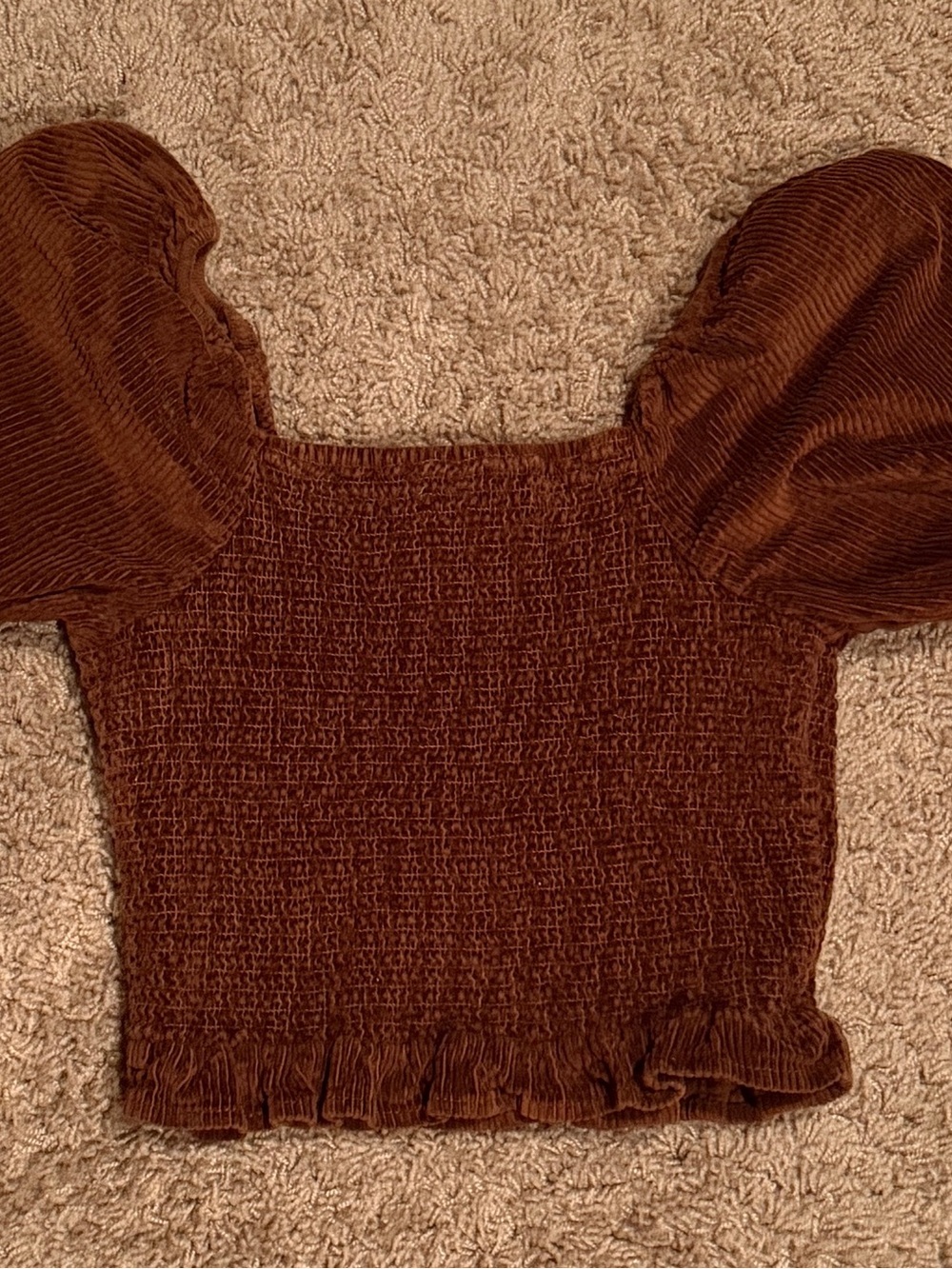 American Eagle Outfitters‎ Brown Smocked Puff-Sleeve Crop Top